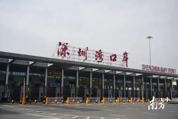 香港海关政策(下周三起内地居民赴港可免隔离！一文读懂粤港通关政策)