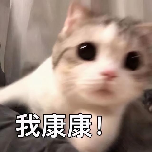 微信群主怎么踢人出群没有减号(《怪猎崛起》超有用的冷知识，学会赶紧试试)