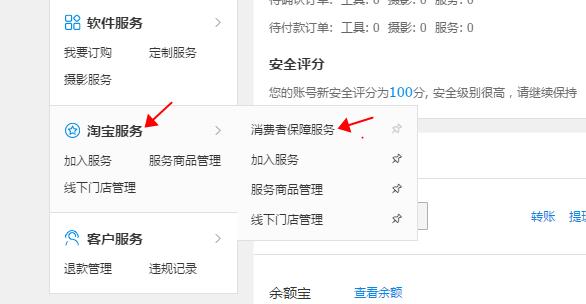 淘宝消费者保证金-充值(代扣)(加入保证金保险，30元开启淘宝C店)