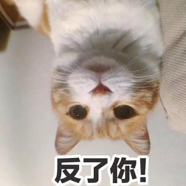 howold are you是什么意思(老外说“How old are you”，可不一定是问“你多少岁了”！)