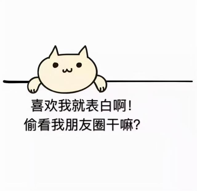 朋友圈营销视频制作(一起看看，她是如何将短视频和朋友圈营销打通的？)