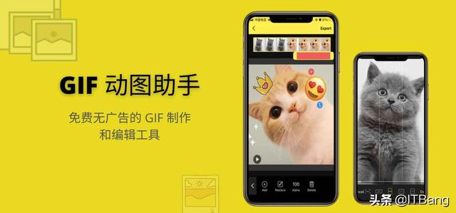 动态表情包制作软件app哪个好用(免费无广告的 GIF 制作和编辑工具)