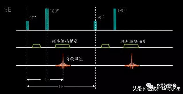 mr技术的原理(「飞利浦磁共振技术」MR常用脉冲序列基本原理及临床应用（二）)