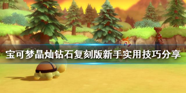 宝可梦晶灿钻石亲密度怎么看(《宝可梦晶灿钻石明亮珍珠》新手实用技巧分享 玩法有什么技巧？)