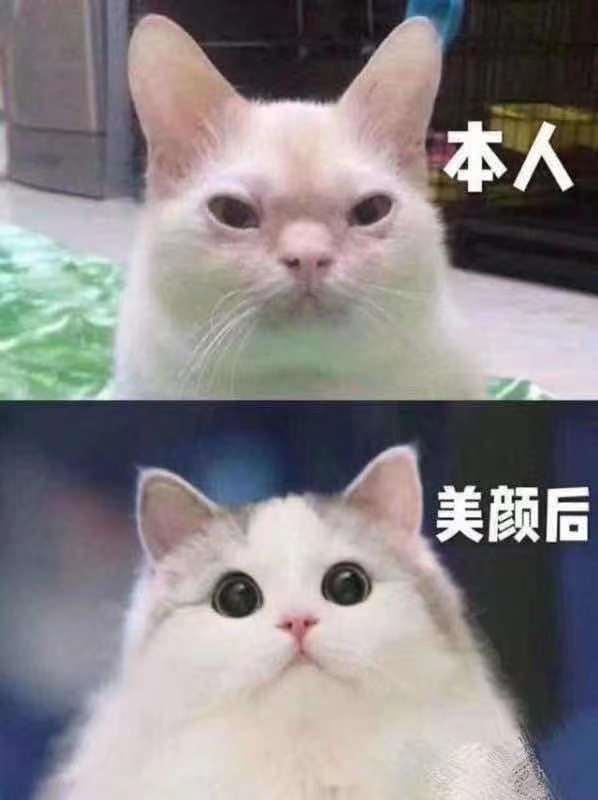 快手直播怎么开美颜和滤镜(网红直播掉滤镜，粉丝原地爆炸)