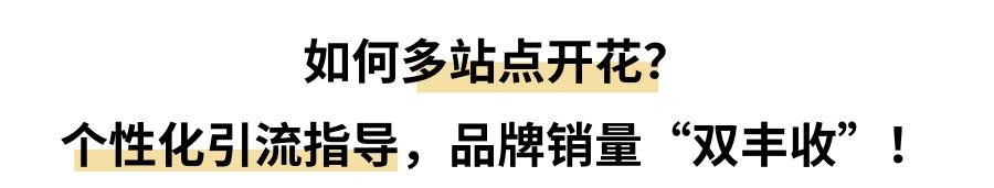 亚马逊联盟营销玩法(小卖变大卖，什么刺激流量销量！可复制的亚马逊成功模式来了)