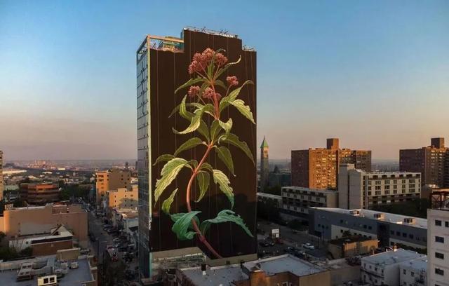 现在怎么贷款比较合适(赵小石：办贷款最好的方法是什么)