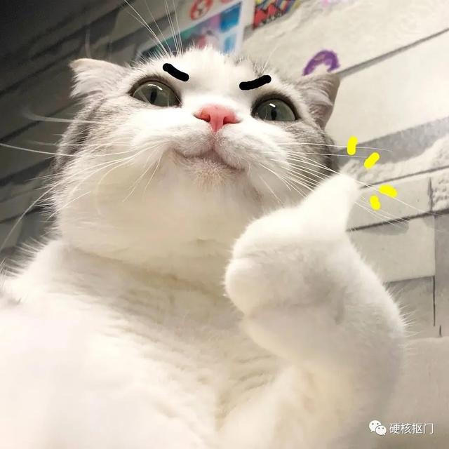 淘宝包包店铺推荐(个人珍藏~!无限回购~！质量好又便宜的各种神仙淘宝店铺)