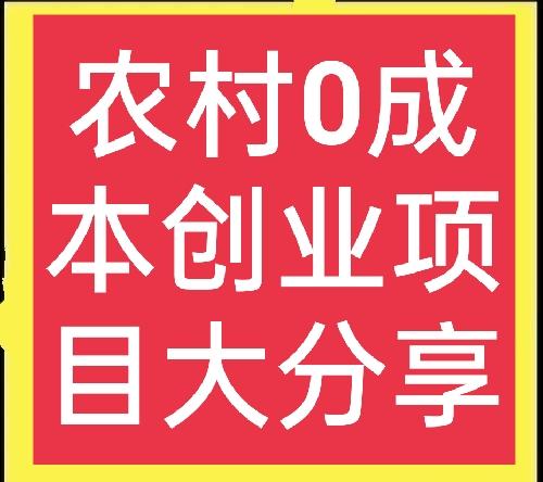 农村创业点子100例(农村零成本创业项目大分享)