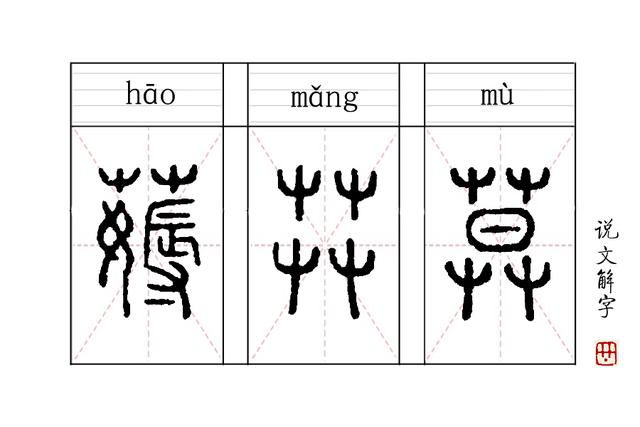 薅羊毛是薅羊毛怎么读(汉字说：“薅羊毛”的“薅”，本来薅的是什么？)