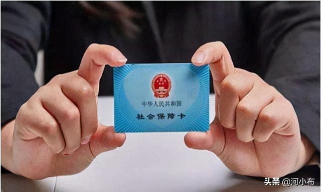 手机上怎么查电费明细什么软件(如何在手机上查询社保缴费情况)