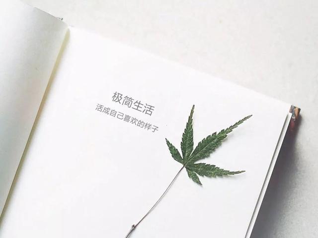 二手闲置物品交易网哪个好(闲置品太多别急着扔！这5个二手平台可以快速回血，学会赚不少钱)