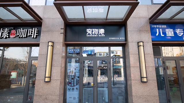 宠物用品代理费多少(宠物店加盟费一般为多少呢)