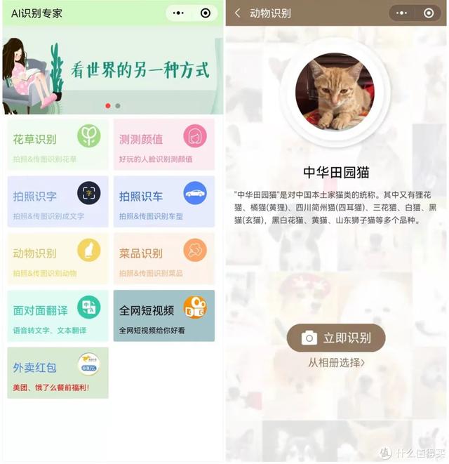 微信电脑版打不开小程序(7天时间全方位测试，这10款微信小程序，居然个个暗藏惊喜)