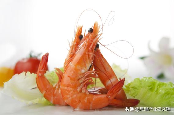 食品加工项目可行性研究报告(广东湛江-健康海洋食品智造及质量安全管控中心项目可行性报告)