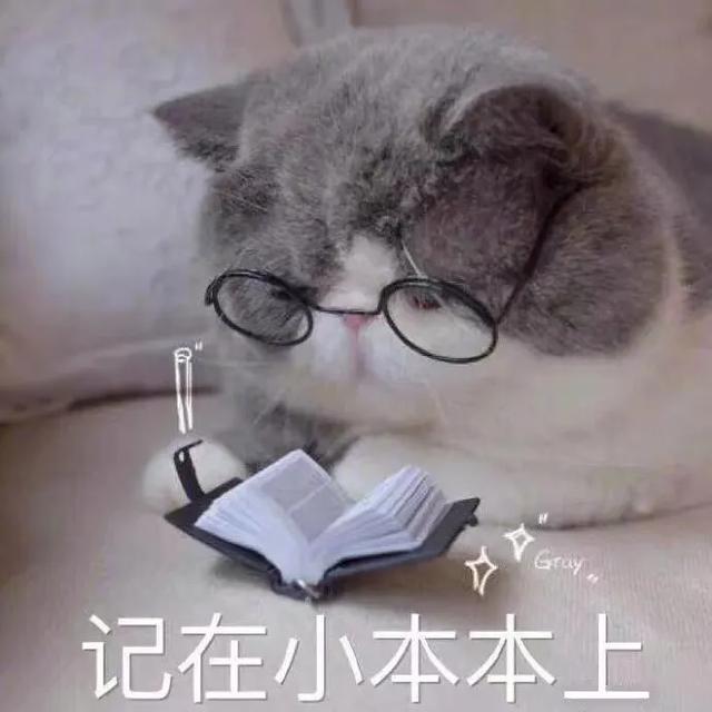 ysl口红必买色号21(YSL小金条21#真的是“一生必买”)