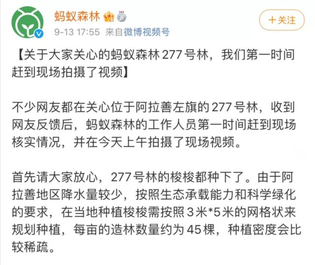 蚂蚁森林种树是真的吗(支付宝蚂蚁森林惹争议！超6亿人“为种真树”积极参与，阿拉善277号林却现荒地？官方回应来了)