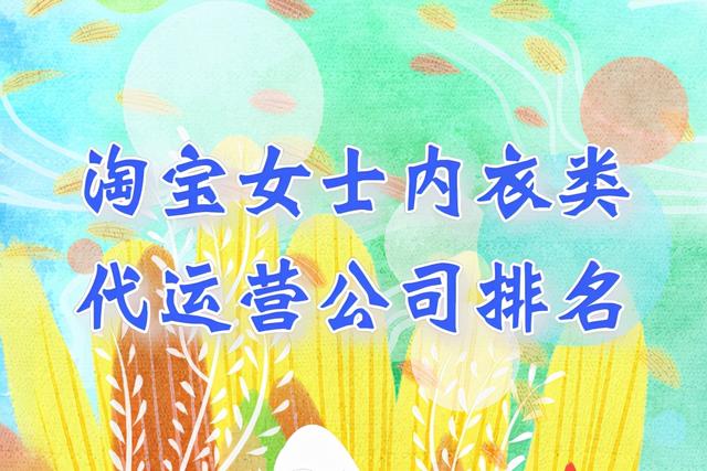 淘宝内衣店店铺简介(淘宝女士内衣类代运营公司排名-哪家好)