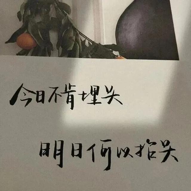 好看的微信背景图带字(文字版微信朋友圈背景图)