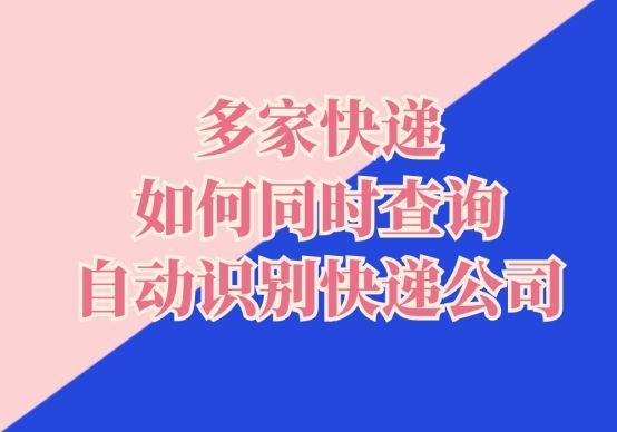 怎么查询快递是谁寄来的(多家快递如何同时查询自动识别快递公司)
