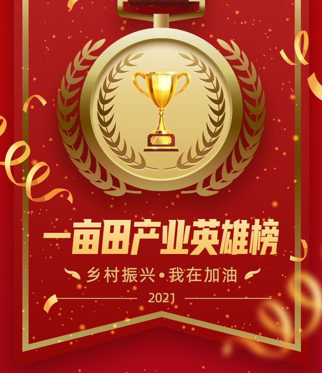 农村致富网创业新项目(10份乡村能人致富经等你来取，他们的成功你也可以复制)