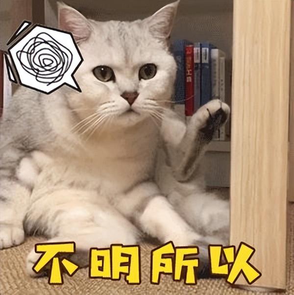 什么是开放式基金什么是封闭式基金(新手入门基金理财第一步—全面了解各类基金)