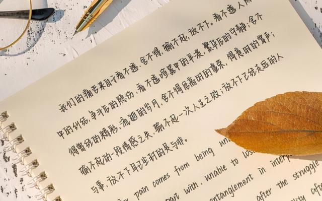 有哪些字体比较好看 手写(大学生手写字体比奶酪体更好看，老师评价：确实好看，但装腔作势)