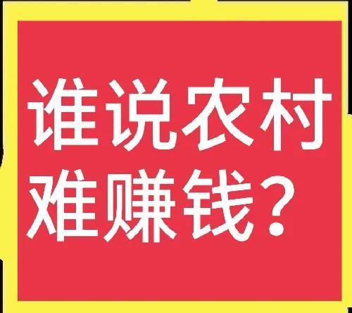开什么实体店赚钱火(谁说农村钱难赚？这五个农村实体店项目就很赚钱，值得推荐)