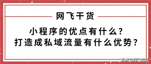网络销售的优势有哪些(网飞干货：小程序的优点有什么？打造成私域流量有什么优势？)