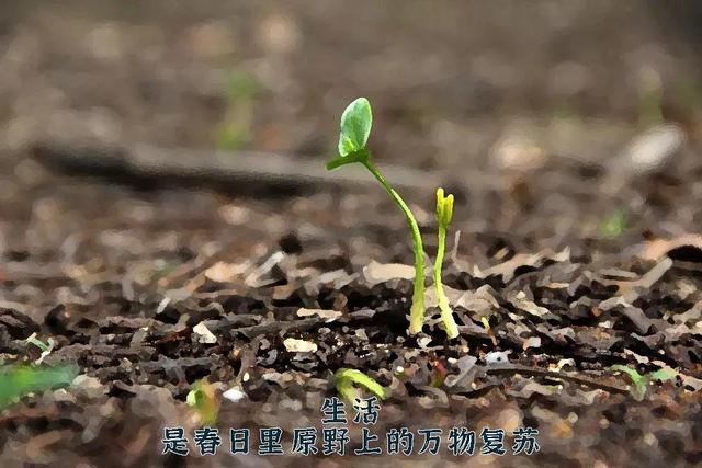 职业目标简短50字(关于职业规划我的一点经历与反思)