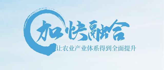 电子商务培训服务业发展现状是(2022，农村电商推动数字乡村加速前行)