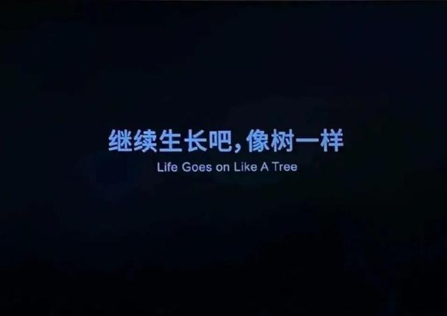 微信朋友圈访客记录能看出来吗(“教你如何查看朋友圈访客记录”)
