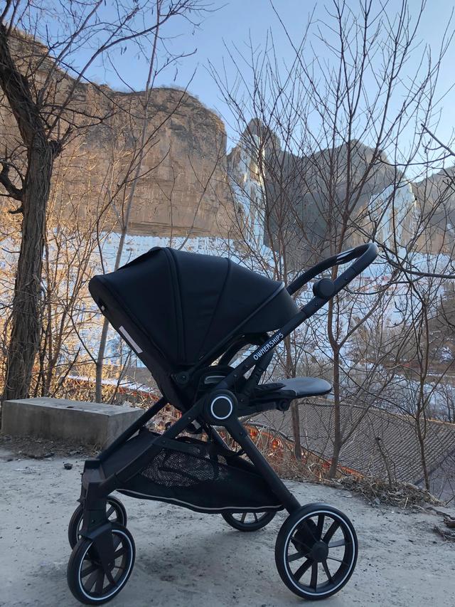 小红书买东西靠谱吗 婴儿推车(超实用双向婴儿推车)