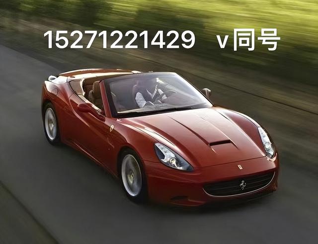 好车无忧网(专业寻车找车公司 全国专业找车)