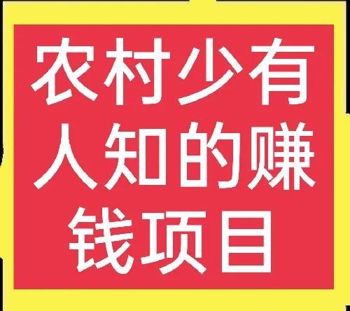 赚钱的项目会有人拿出来卖吗(取松香、取桦树茸、结白蜡等项目，很多人没见过，但是真的很赚钱)