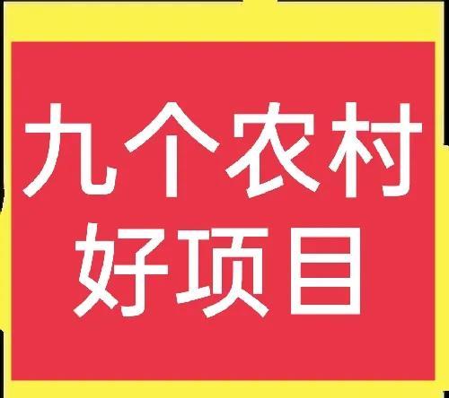 农村镇上开什么店好(九个农村乡镇好项目，建议收藏)