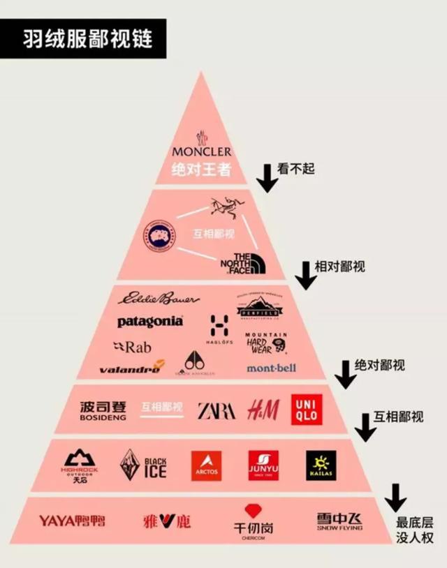 男装哪个网站买最好(羽绒服大战：北面、波司登超越加拿大鹅，鸭鸭、雪中飞抢占直播间)