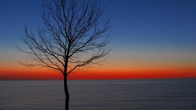 怎么在网上赚钱快(如果你也想通过网络挣钱，但是屡屡失败，那请你看完这篇文章)