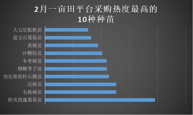 农村致富项目种植业(一亩田平台采购热度最高的10个种苗品类，阳光玫瑰葡萄苗热度最高)