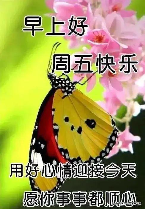 微信表情动作图片大全(2022新版微信早上好动态图片大全 群发的早上问候非常漂亮的表情包)