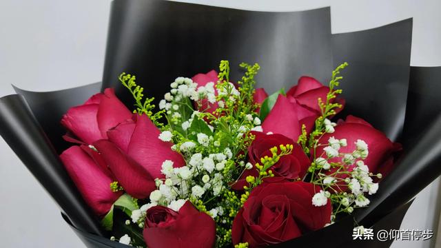 送女生雅诗兰黛怎么样(圣诞节优质礼物推荐——送女友/送女神（一）)