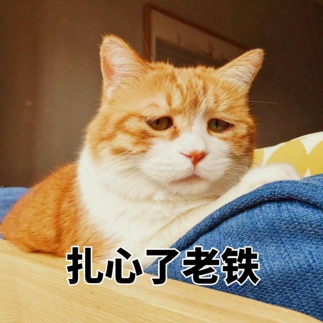 小红书怎么赚钱(想做小红书赚钱，一些扎心的大实话)