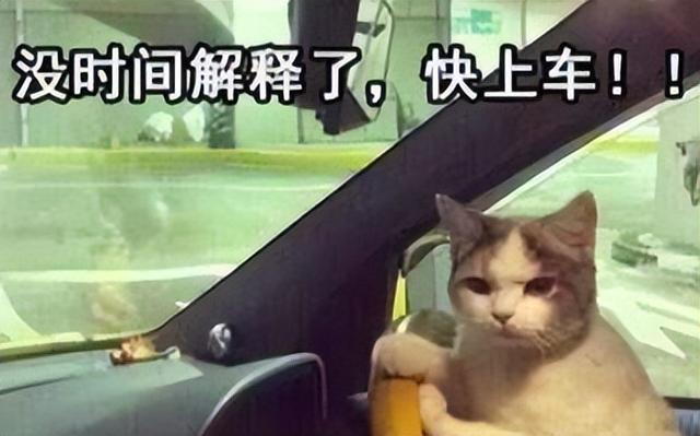 天天网化妆品网站还有吗(B站果然是个成人学习网站)