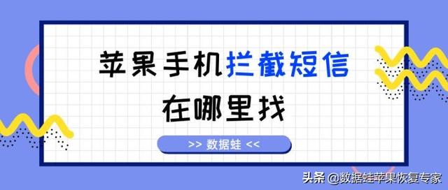 苹果手机收不到短信怎么设置(苹果手机拦截短信在哪里找？)