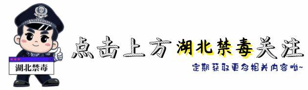个人罂粟花种多少犯法(种植罂粟多少就犯法？一株也不行！)