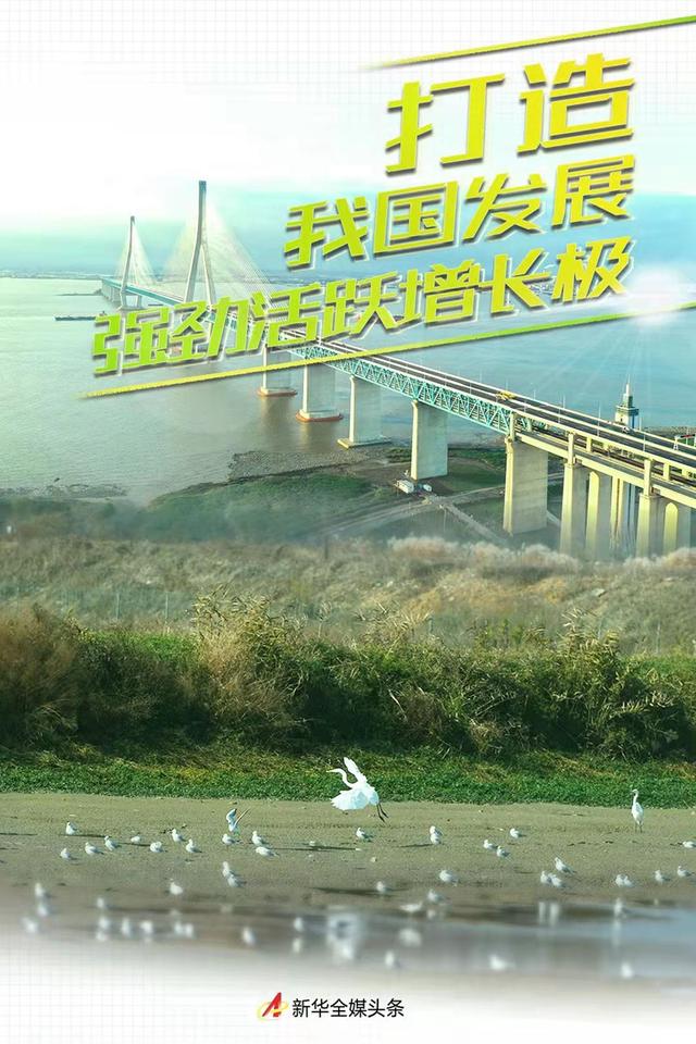 华源网络信息有限公司(打造我国发展强劲活跃增长极——以习近平同志为核心的党中央谋划推动长三角一体化发展纪实)