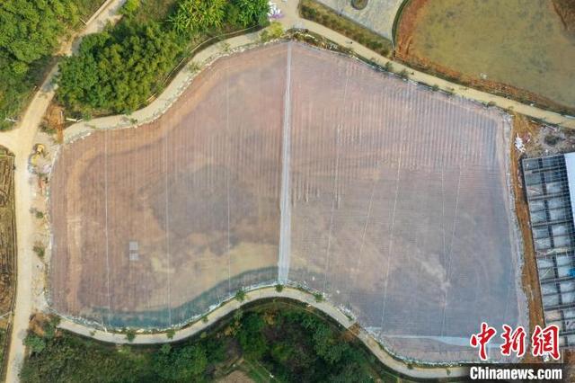 柳州不起眼的暴利小生意(柳州“网红村”设计年入百万元项目吸引大批务工人员返乡)