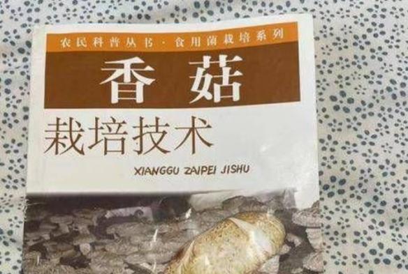 当当回收二手书价格(定价3.6元的书卖210元 当当客服回应：绝版书 会升值)