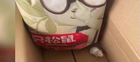 零食店名字大全洋气带红字(再陷争议的三只松鼠：“国民零食第一股”屡被曝食品安全问题)