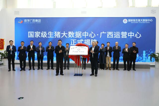 大数据查询中心(国家级生猪大数据中心广西运营中心正式揭牌成立)